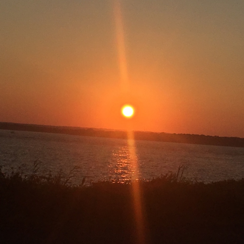 Meet your Posher, Sophia